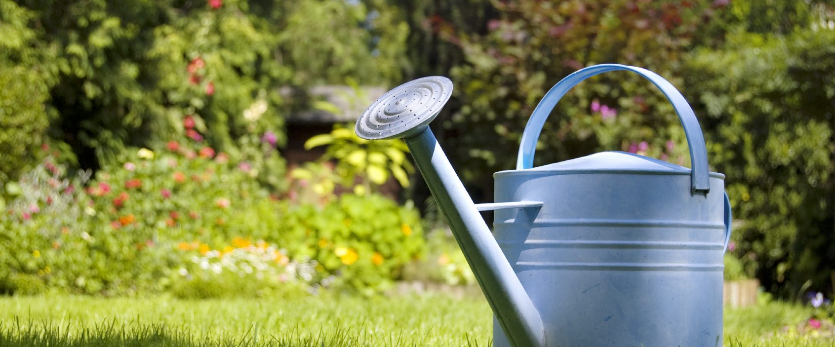 Gießkanne im Garten